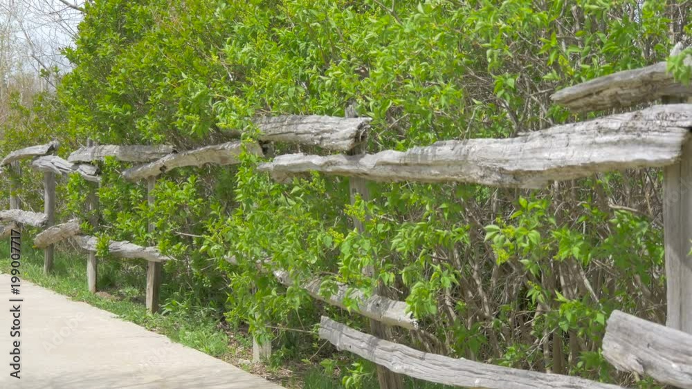Wooden fence along bushes Wooden fence along bushes