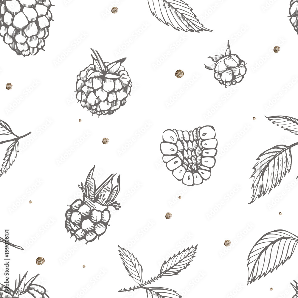 Hand drawn raspberry. Retro sketch style vector illustration. Perfect for invitation, wedding or greeting cards. Seamless pattern. Hand drawn raspberry. Retro sketch style vector illustration. Perfect for invitation, wedding or greeting cards. Seamless pattern.
