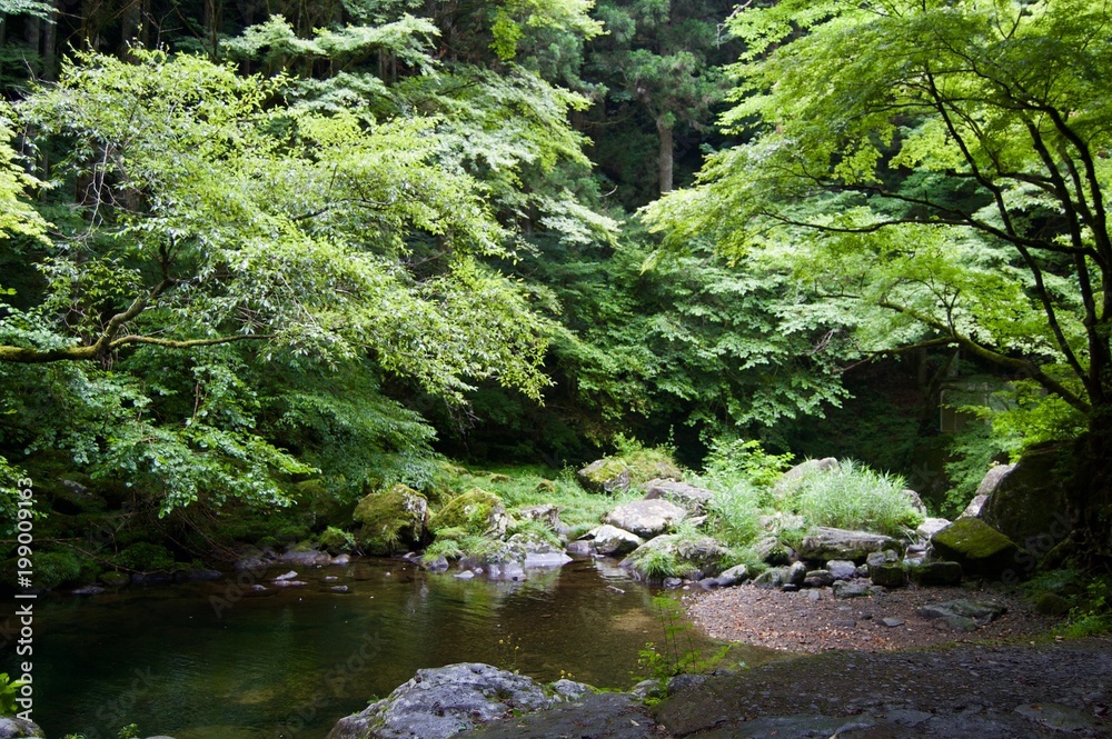 Akame 48 Waterfalls: Mystic scenery with giant trees & huge moss covered rock formations, untouched nature, lush green vegetation, cascading waterfalls & natural pools in rural Japan near Osaka Akame 48 Waterfalls: Mystic scenery with giant trees & huge moss covered rock formations, untouched nature, lush green vegetation, cascading waterfalls & natural pools in rural Japan near Osaka