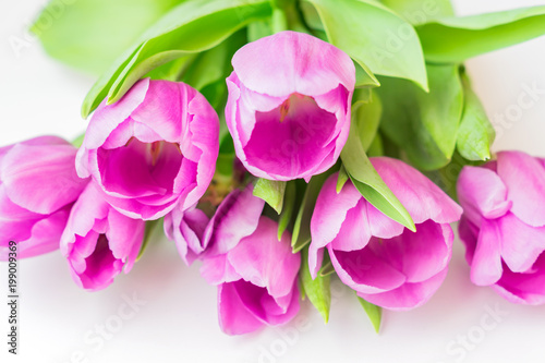 bouquet of violet blooming flovers on white background