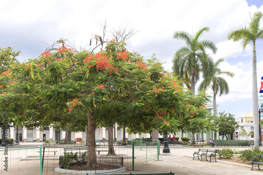 Fototapeta premium Plaza - Cienfuegos, Cuba