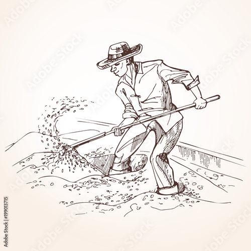 Farmer performs the drying of coffee beans. A worker with a shovel raises grain. Vintage illustration.