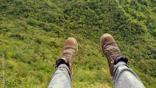 Watching the forest from a hill, with its feet suspended. © Leandro
