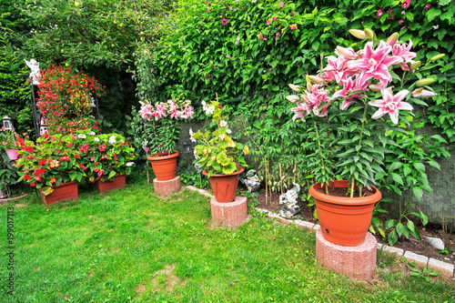 Fototapeta Naklejka Na Ścianę i Meble -  Flower garden