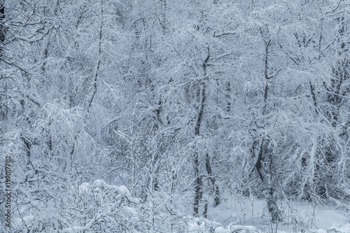 Nordhelle im Winter