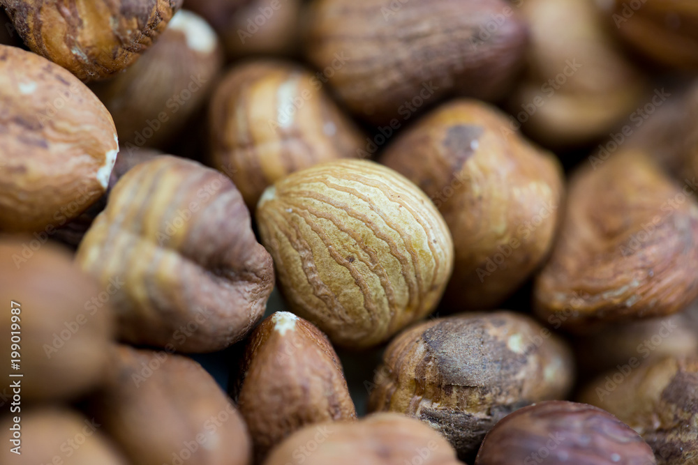 Close-up of fresh hazelnuts, macro photo (macro concept) Close-up of fresh hazelnuts, macro photo (macro concept)