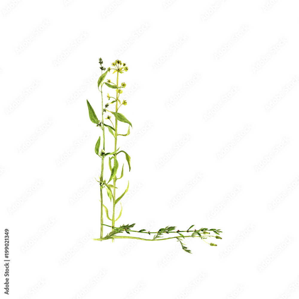 Naklejka premium floral watercolor letter L