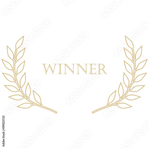 Winner film award
