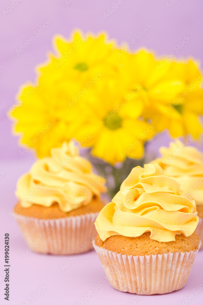 Cupcakes decorated with yellow cream and chrysanthemums on violet pastel background for greeting card with copyscape.
