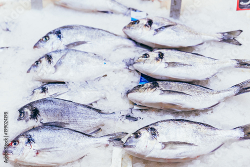 fresh sea food. grocery shopping. dorado in ice