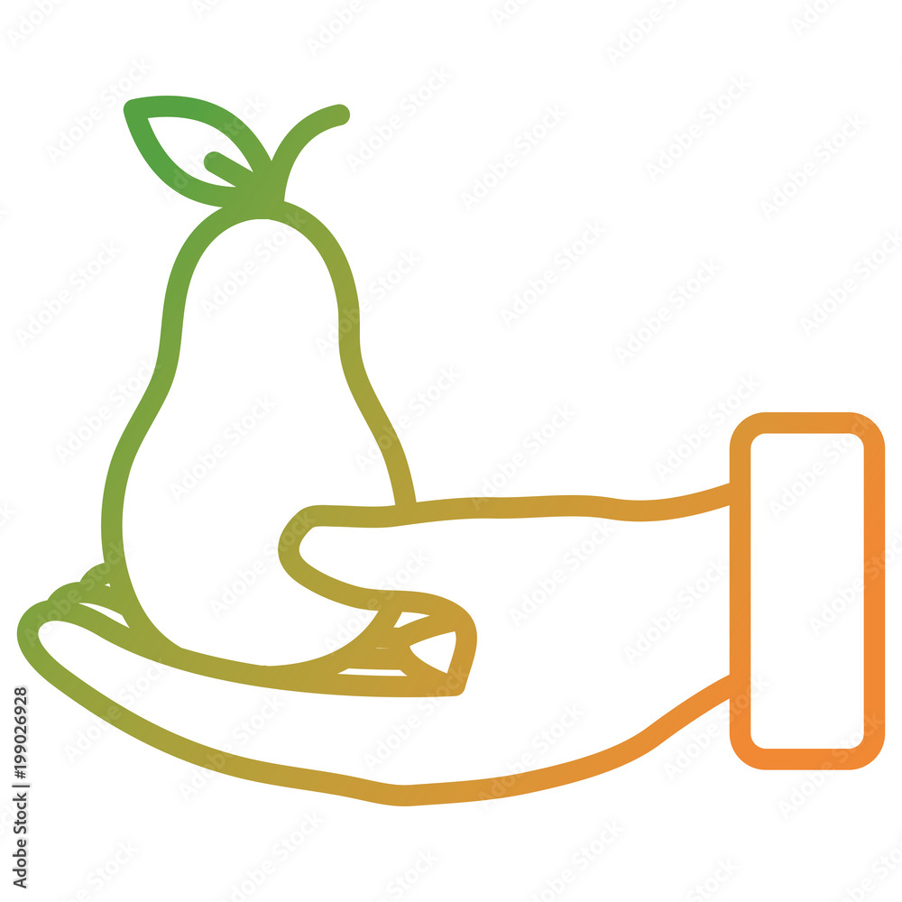 Fototapeta premium hand lifting fresh pear fruit icon vector illustration design