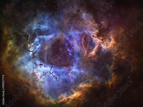 Fotografiet The Rosette Nebula