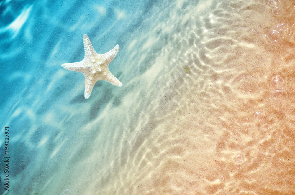 Fototapeta starfish on the summer beach in sea water.