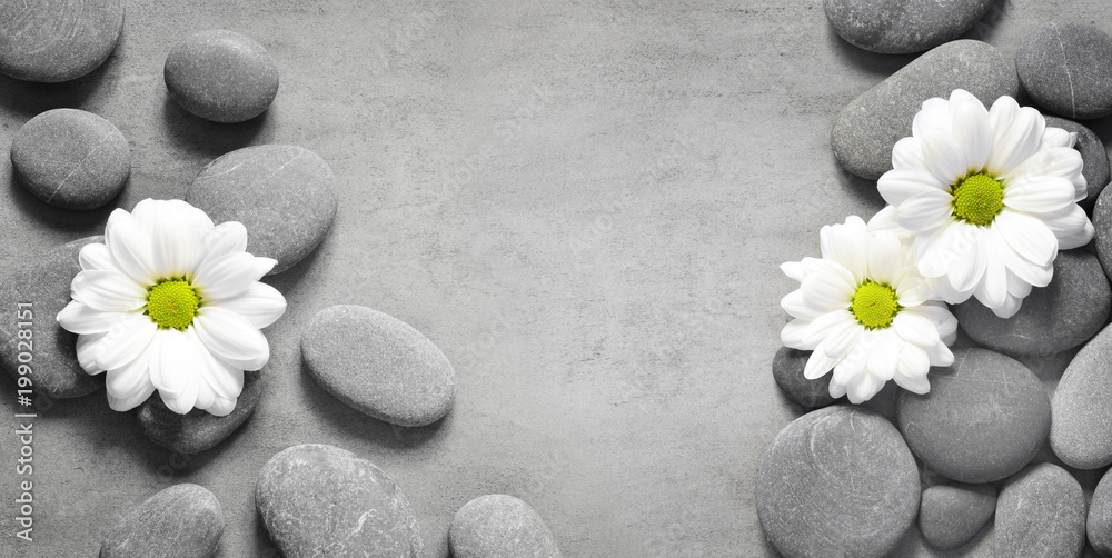 Set of white flowers on pebble Set of white flowers on pebble