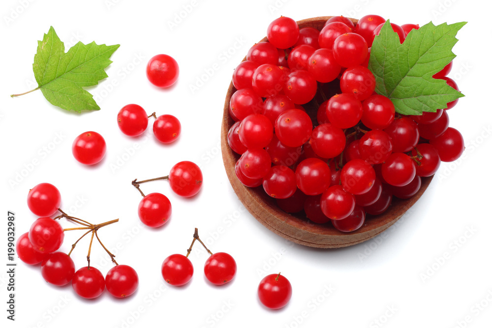 Red berries of Viburnum (arrow wood) in wooden bowl with green leaf isolated on white background top view Red berries of Viburnum (arrow wood) in wooden bowl with green leaf isolated on white background top view