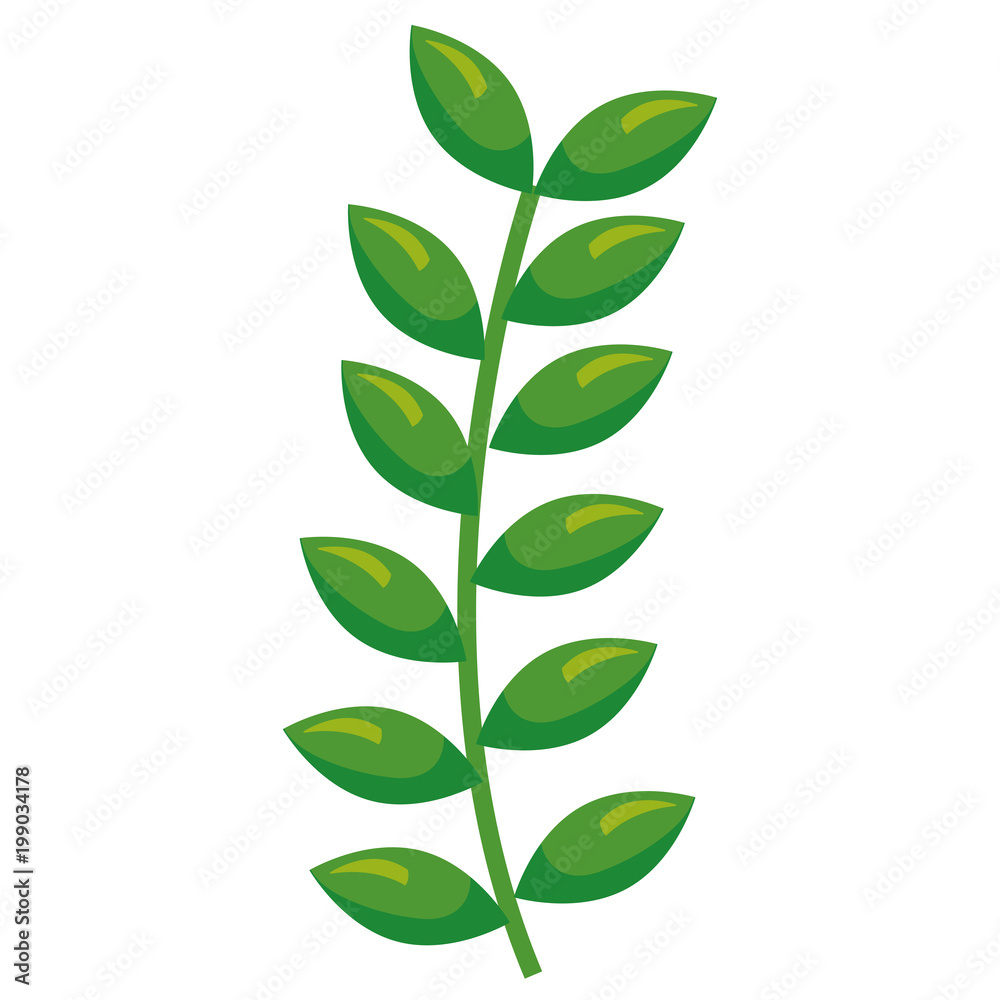 tree branch with leafs vector illustration design tree branch with leafs vector illustration design