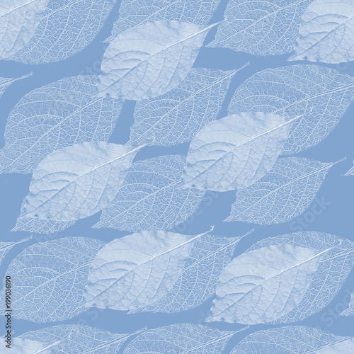 Seamless leaves pattern. Blue and white background.