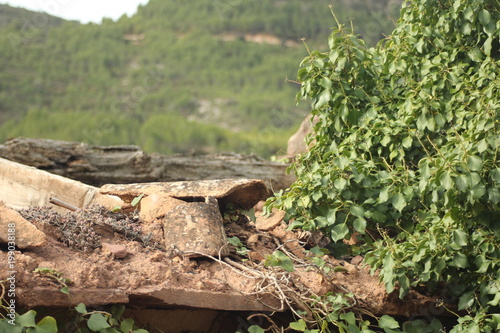 Wallpaper Mural tejado Torontodigital.ca