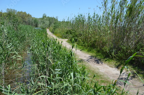 Spacer po rezerwacie przyrody PArk Albufera, Alcudia, Majorka photo