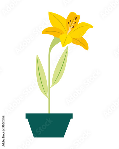 flower lily in a pot decorative vector illustration design