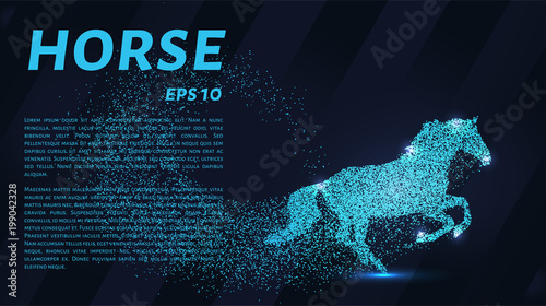 Horse of the particles. The horse consists of small circles and dots. Vector illustration