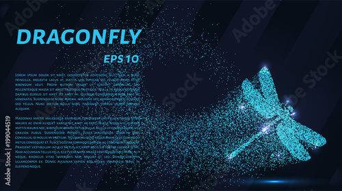 Dragonfly of the particles. Dragonfly consists of circles and points. Vector illustration