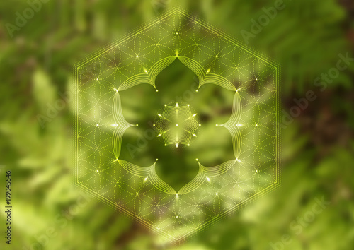 Vector template of banner, horizontal format; Spiritual sacred geometry; "Flower of life" and lotus on psychedelic photographic background with green grass; Yoga, meditation and relax.