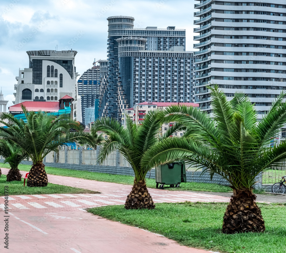 Embankment in Batumi with green palms and scyscrapers on the background, Georgia