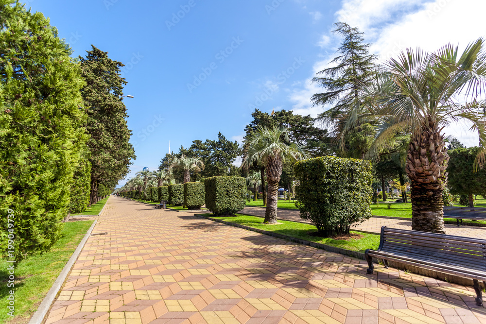 Park with palm trees at promenade of Batumi, Georgia