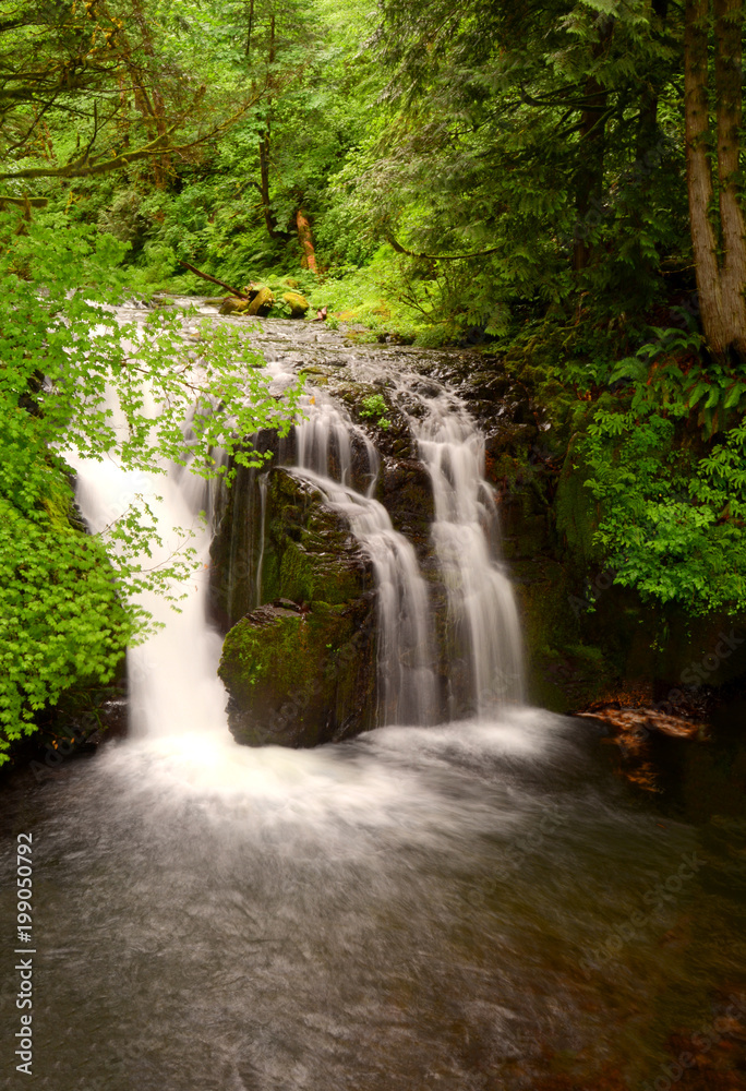 Small Falls Above Multnomah