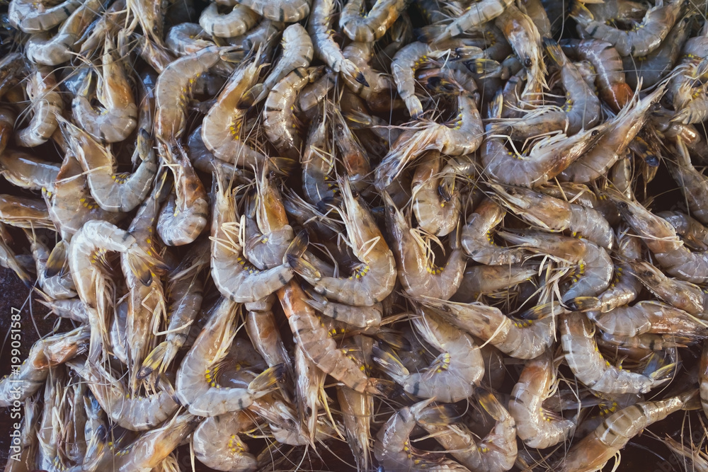 Close up fresh prawn, fresh shrimp seafood lying on table. Top view Close up fresh prawn, fresh shrimp seafood lying on table. Top view