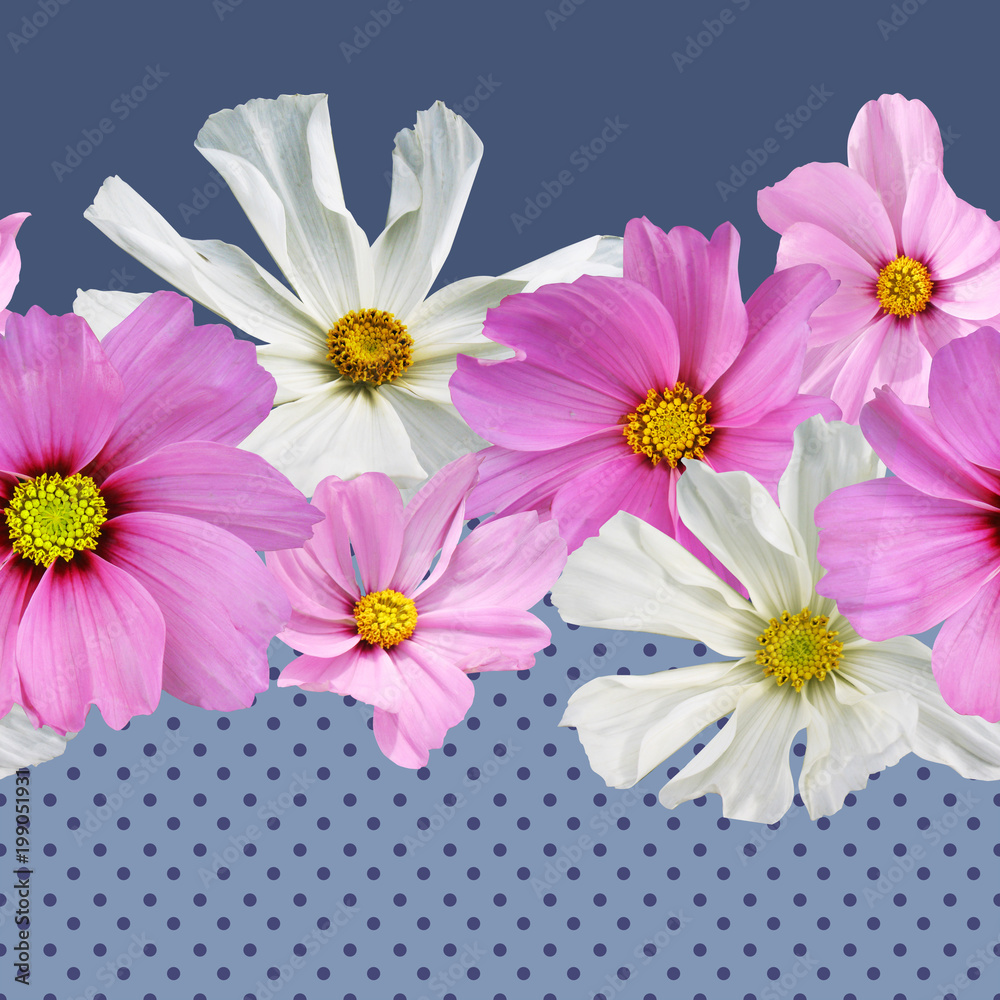 Seamless border of the cosmos flowers on a background of polka dots, photo-collage. Seamless border of the cosmos flowers on a background of polka dots, photo-collage.
