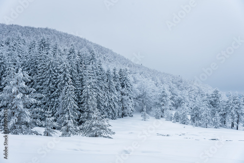 Winter landscape of the mountain.