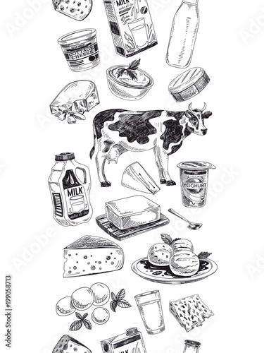 Beautiful vector hand drawn dairy products  Illustration.