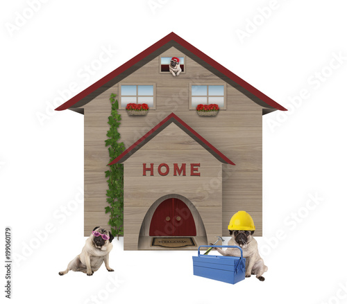 cute average working class pug dog familiy, sitting down in front of their renovated home, isolated on white background