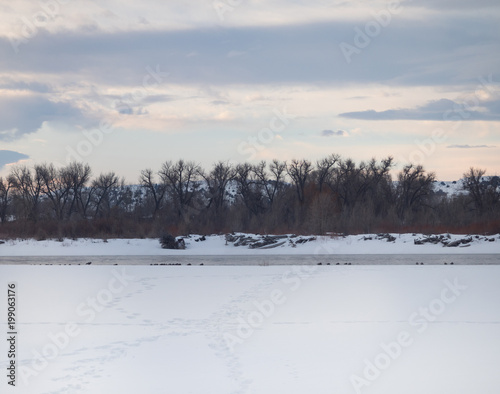 A snowy riverbank with footprints leading to the water's edge in the foreground. A bare deciduous forest is in the foreground and cloudy skies at sunrise above.