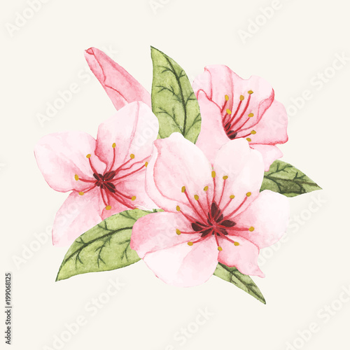 Fototapeta Naklejka Na Ścianę i Meble -  Illustration of a flower