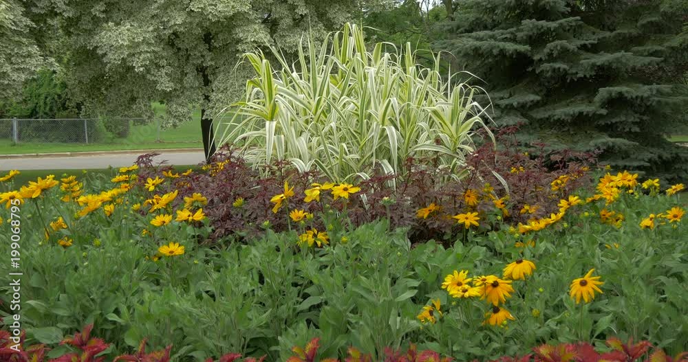 Flower bed in a natural park Flower bed in a natural park