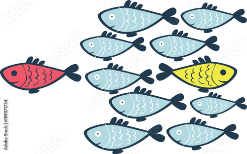 school of fish