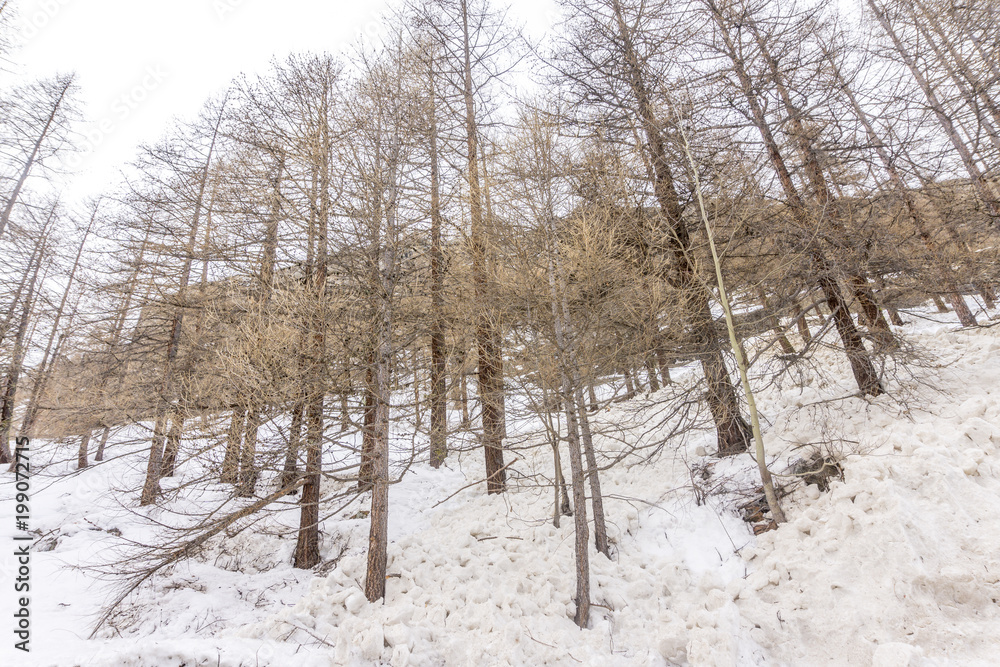 spring in the mountains with lots of snow spring in the mountains with lots of snow