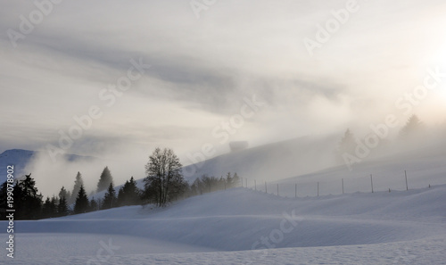 winter mountain landscape with fog and trees in deep snow