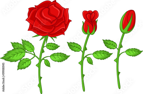 cute flower rose cartoon 