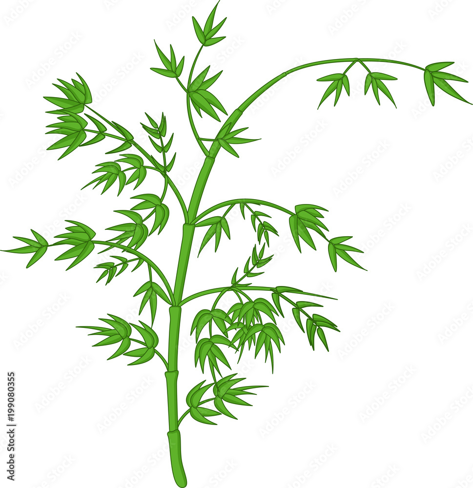 Obraz premium cute bamboo trees cartoon 