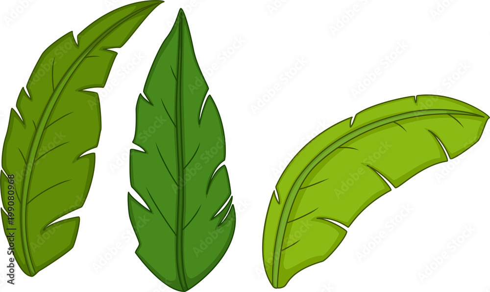 cute tropical leaf cartoon Stock Vector | Adobe Stock