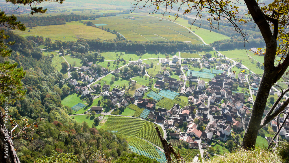 view of a beuatiful small alpine village with many vineyards seen from above and framed by leaves and trees