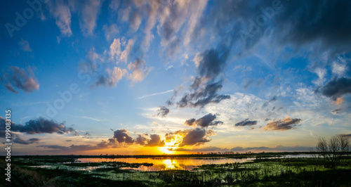 Lake Apopka Wildlife Drive