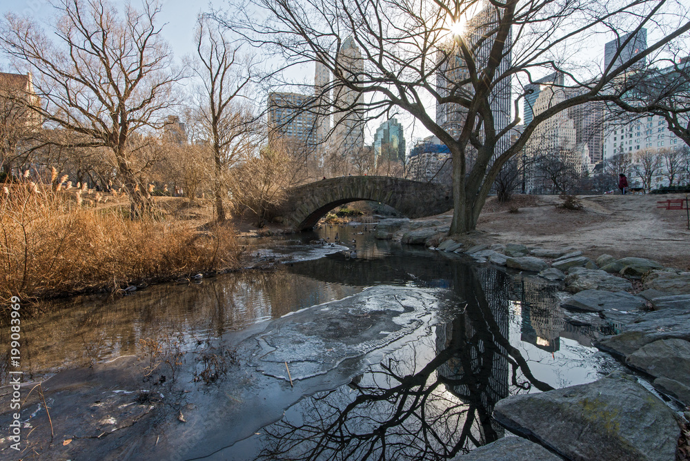 Stone Arch Bridge, Central Park, NYC Stone Arch Bridge, Central Park, NYC