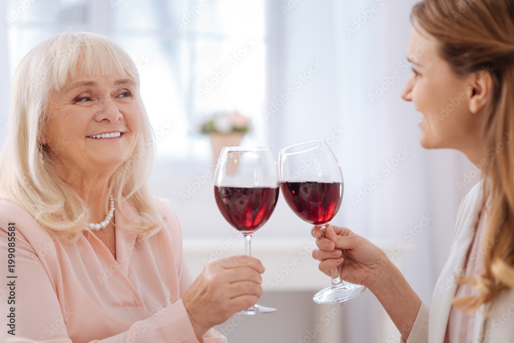 Delicious drink. Close up of glasses with wine being clinked by nice joyful cheerful women Delicious drink. Close up of glasses with wine being clinked by nice joyful cheerful women
