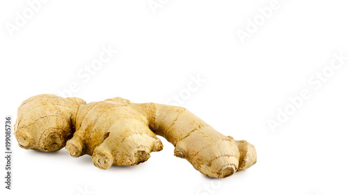 Brown medical ginger root isolated on white background, health food. copy space, template.