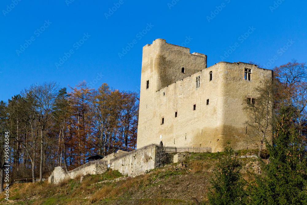 Blick auf die Burgruine Liebenstein